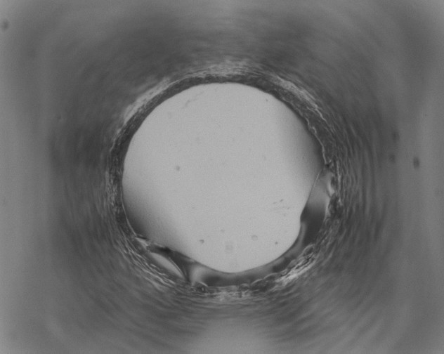 X0000067481160200605051705