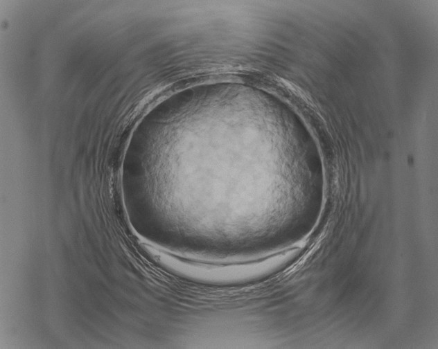 X0000067481161200605051705