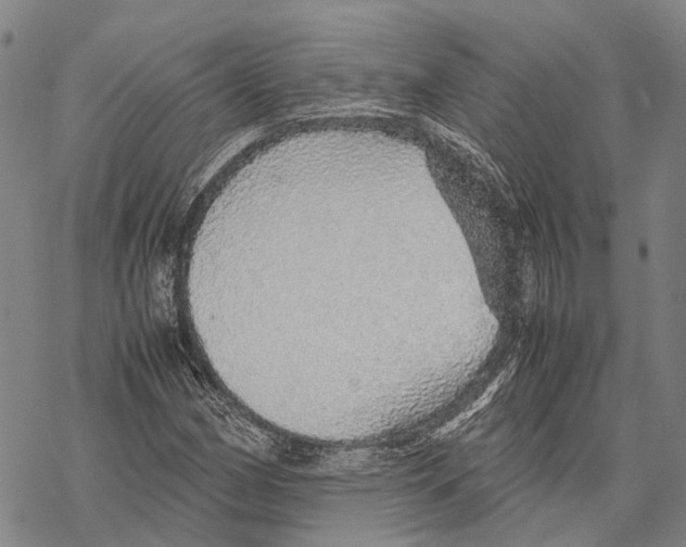 X0000067481162200605051705