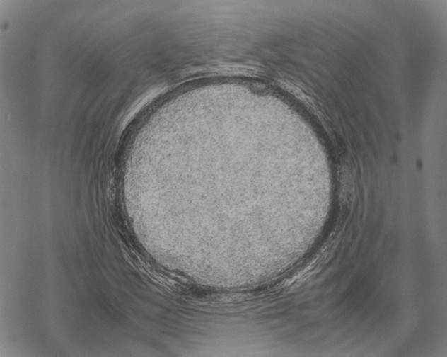 X0000067481163200605051705