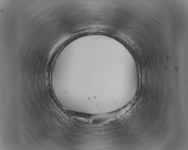 X0000067481164200605051705