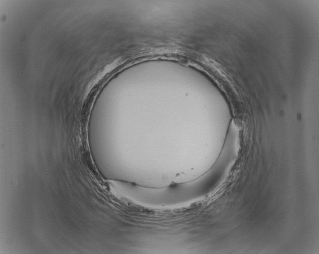 X0000067481165200605051705