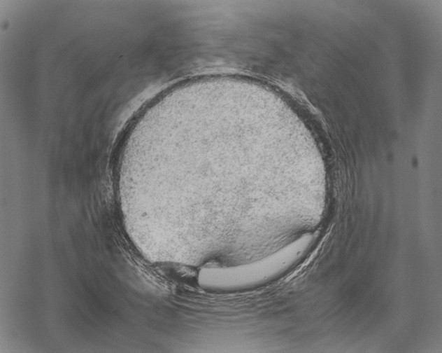 X0000067481167200605051705