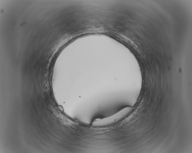 X0000067481168200605051705