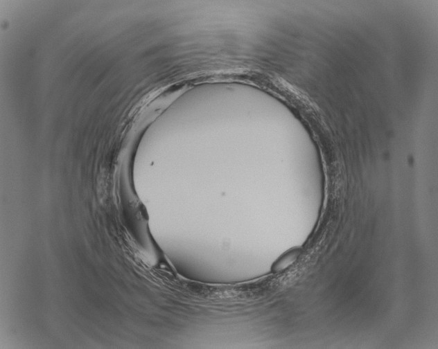 X0000067481169200605051705