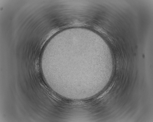 X0000067481170200605051705