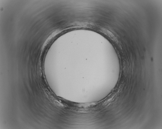 X0000067481172200605051705