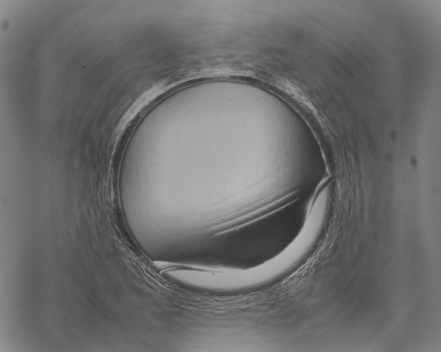 X0000067481173200605051705