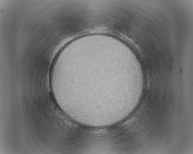 X0000067481174200605051705