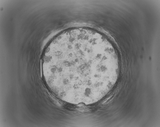 X0000067481175200605051705