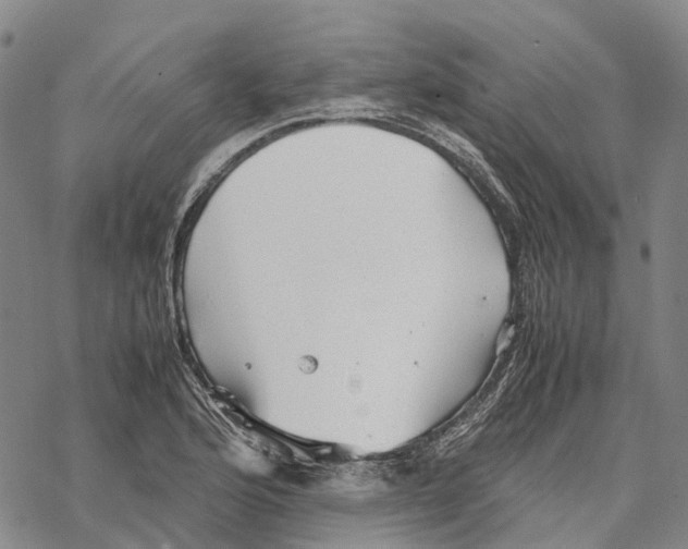 X0000067481176200605051705