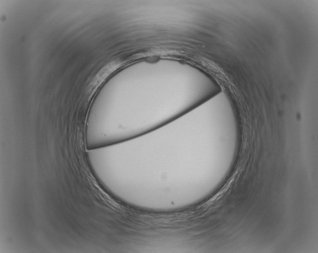 X0000067481177200605051705