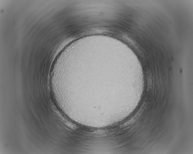 X0000067481178200605051705