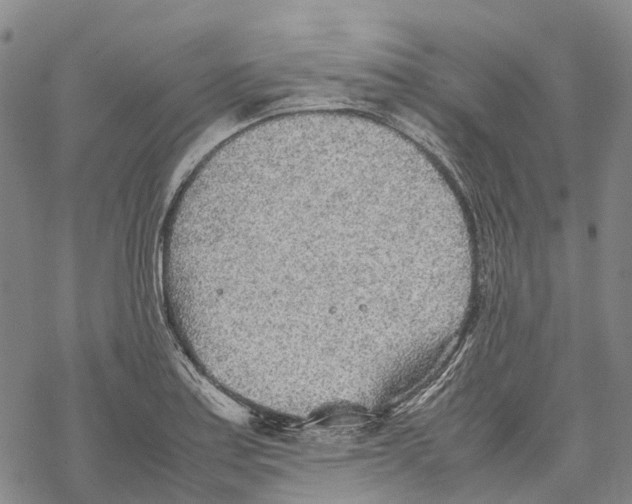 X0000067481179200605051705