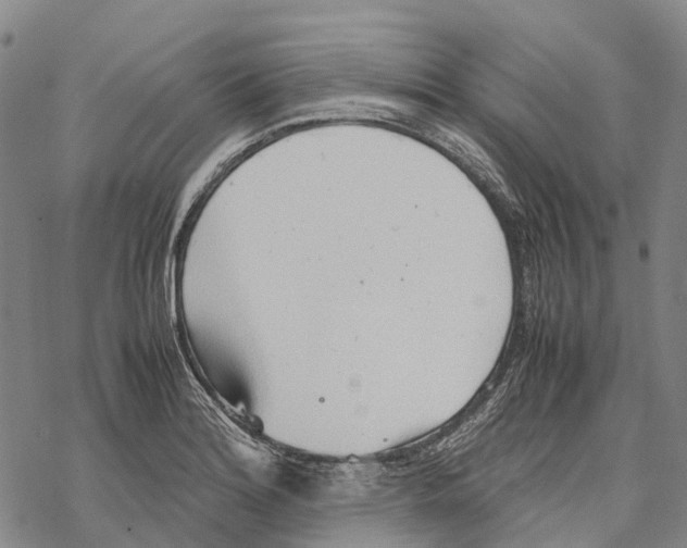 X0000067481180200605051705