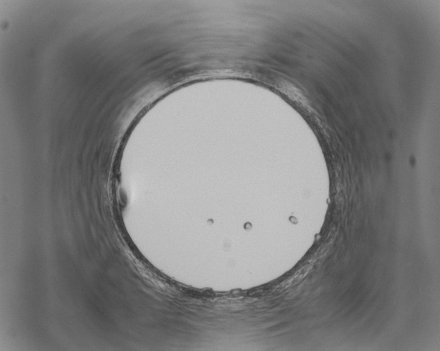 X0000067481181200605051705