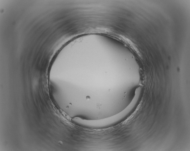 X0000067481184200605051705