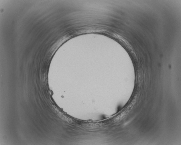 X0000067481185200605051704