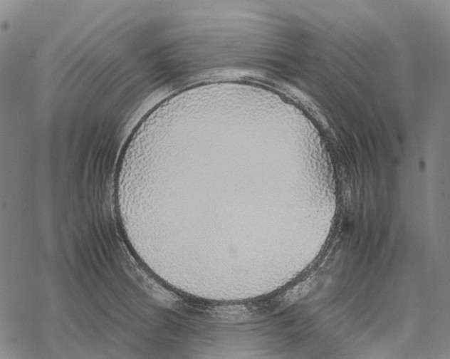 X0000067481186200605051704