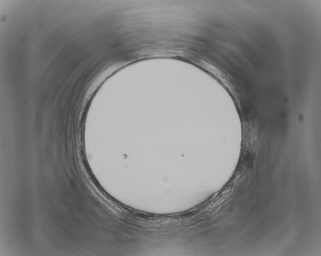 X0000067481187200605051704