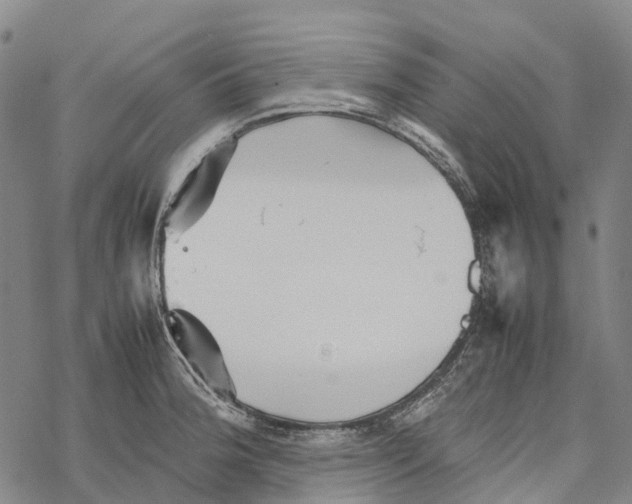 X0000067481188200605051704