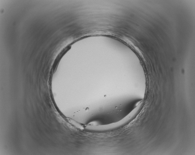 X0000067481189200605051704