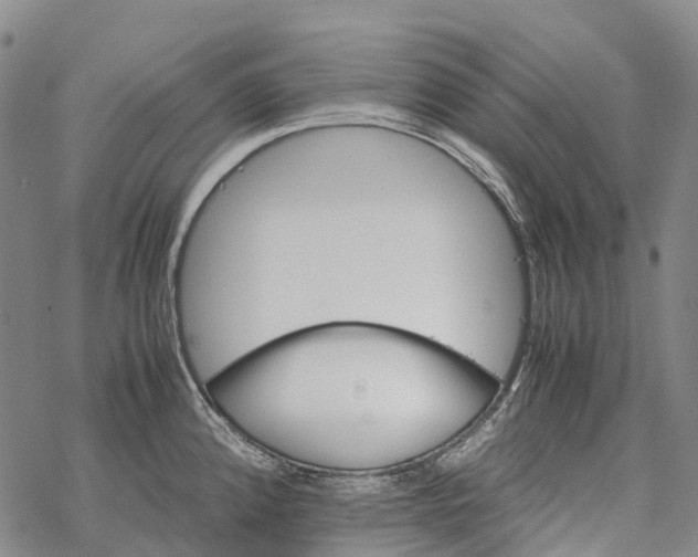 X0000067481192200605051704