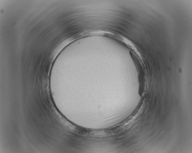 X0000067481194200605051704