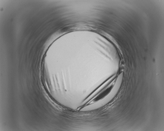 X0000067481195200605051704