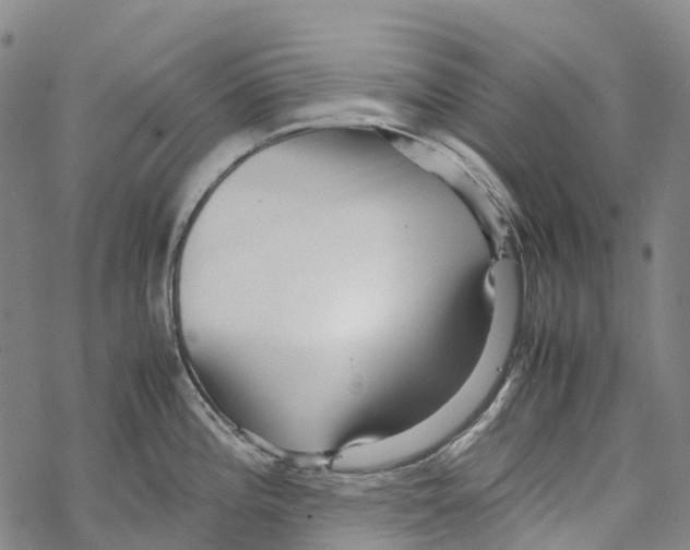 X0000067481196200605051704