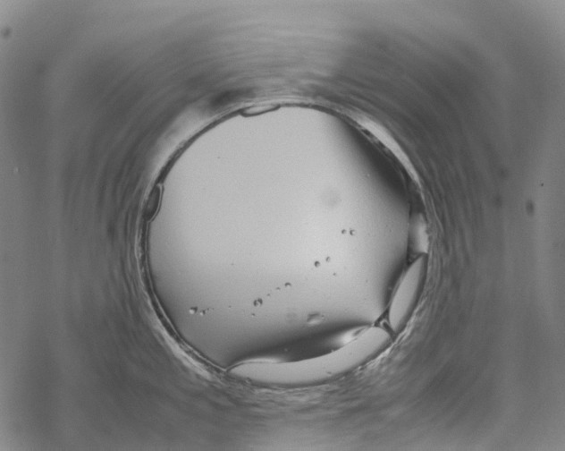 X0000067481197200605051704