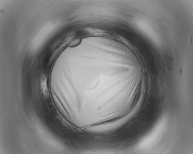 X0000067481198200605051704