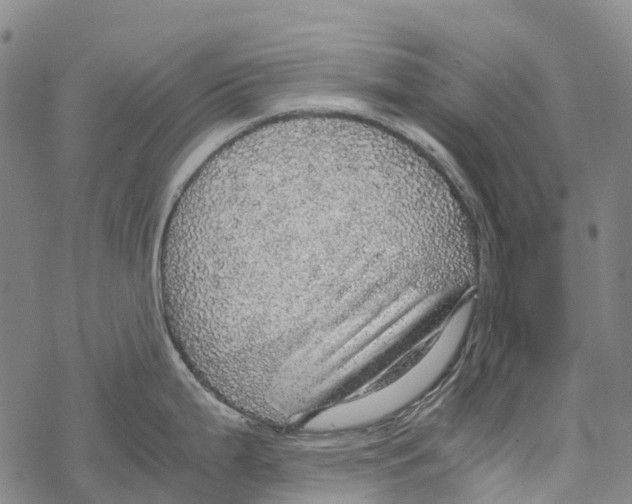 X0000067481199200605051704