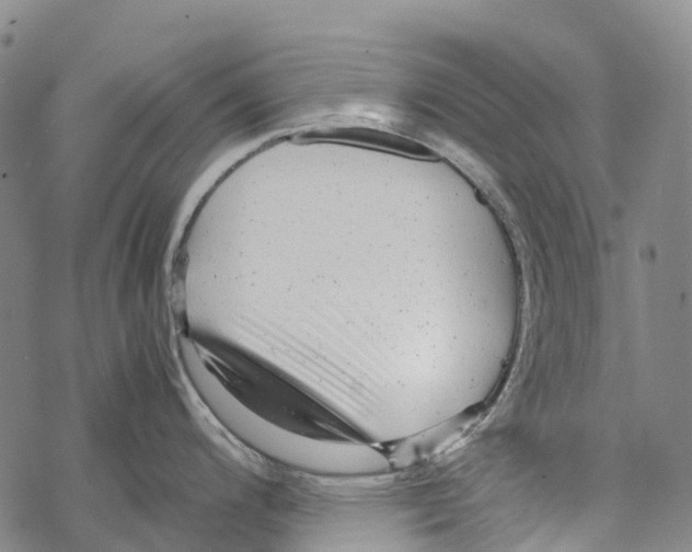 X0000067481200200605051704