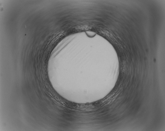 X0000067481201200605051703