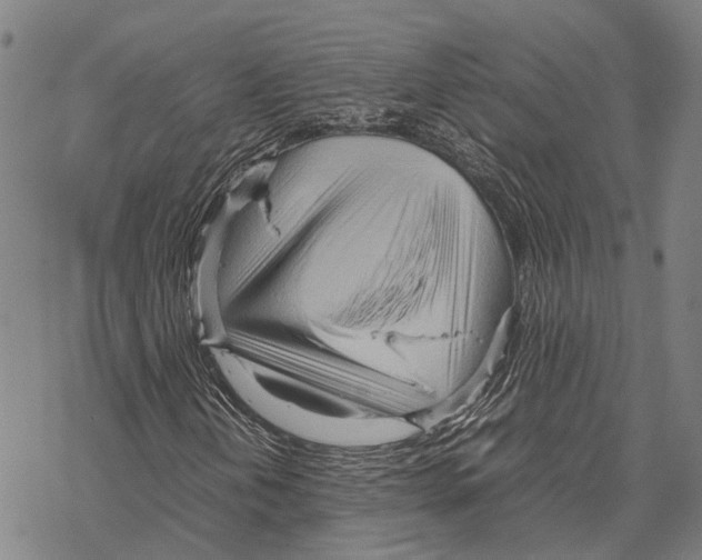 X0000067481202200605051703