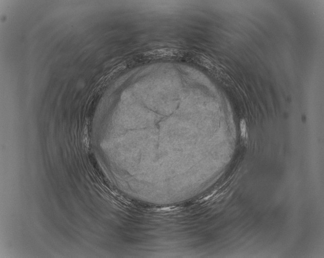 X0000067481203200605051703