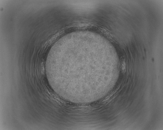 X0000067481204200605051704