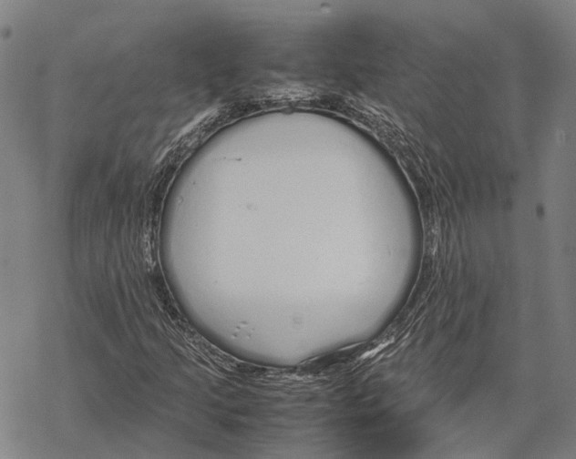 X0000067481205200605051704