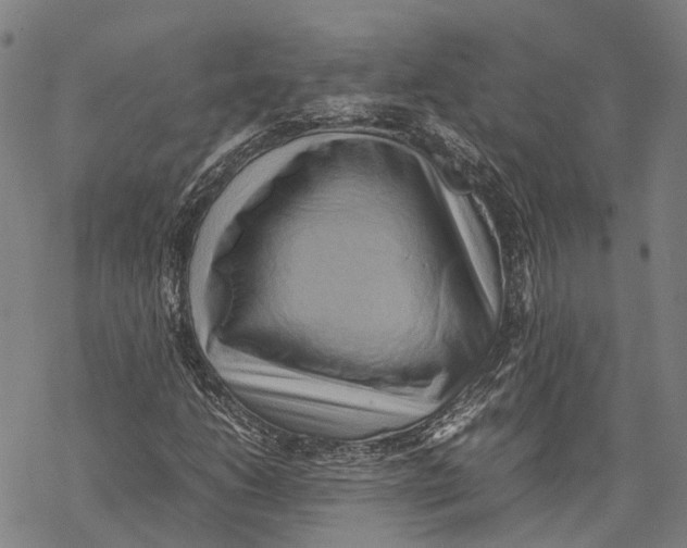 X0000067481206200605051704