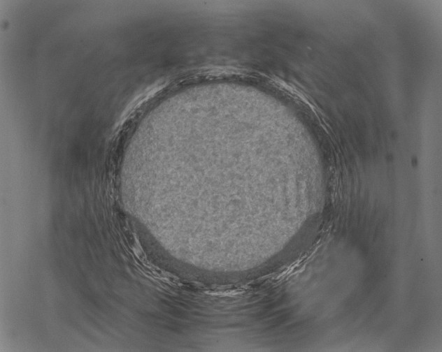 X0000067481207200605051704