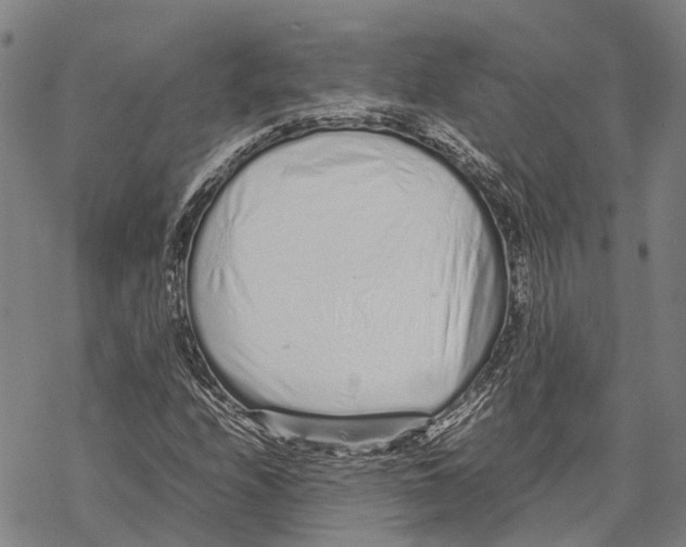 X0000067481208200605051704