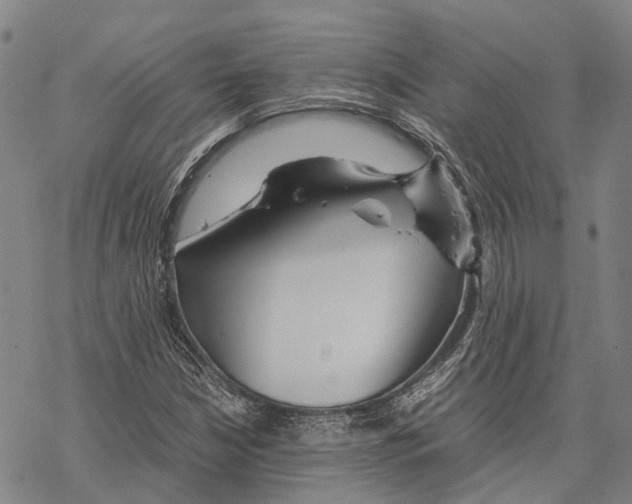 X0000067481210200605051704