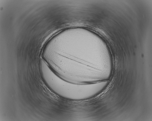 X0000067481212200605051704