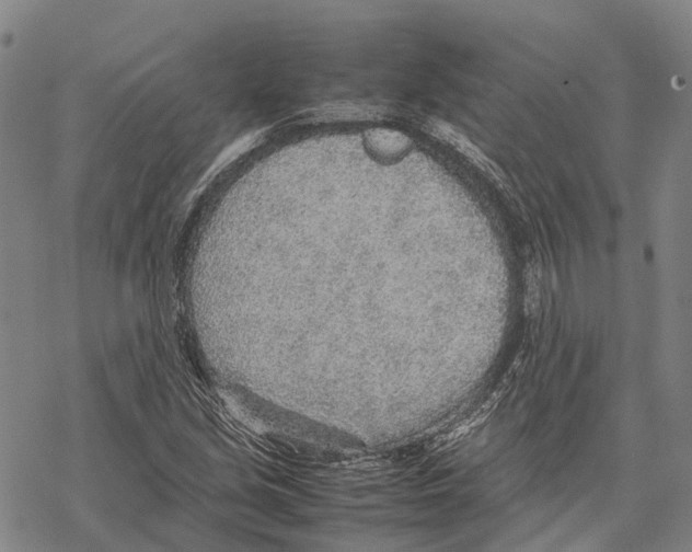 X0000067481213200605051704