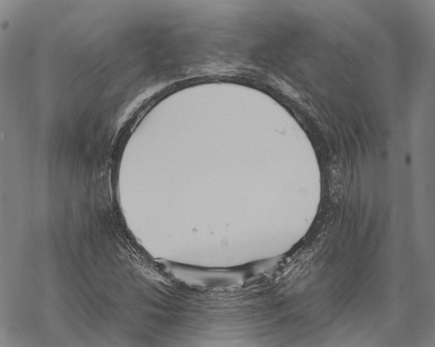 X0000067481214200605051704