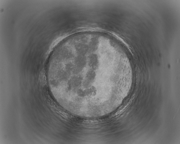 X0000067481215200605051704