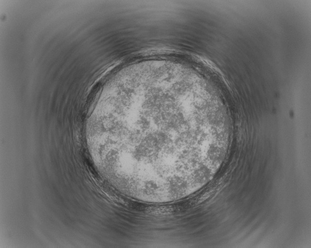 X0000067481217200605051704