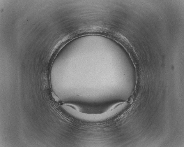 X0000067481218200605051704