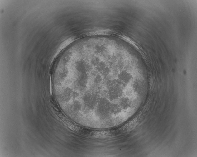 X0000067481219200605051704